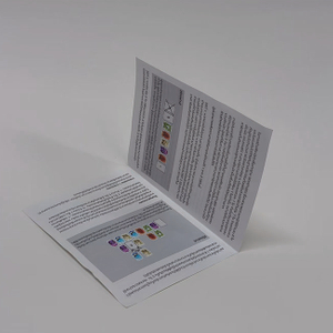 Fashion booklet Folding flyer Game Guide booklet printed on both sides